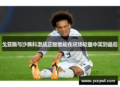 戈亚斯与沙佩科激战正酣谁能在这场较量中笑到最后